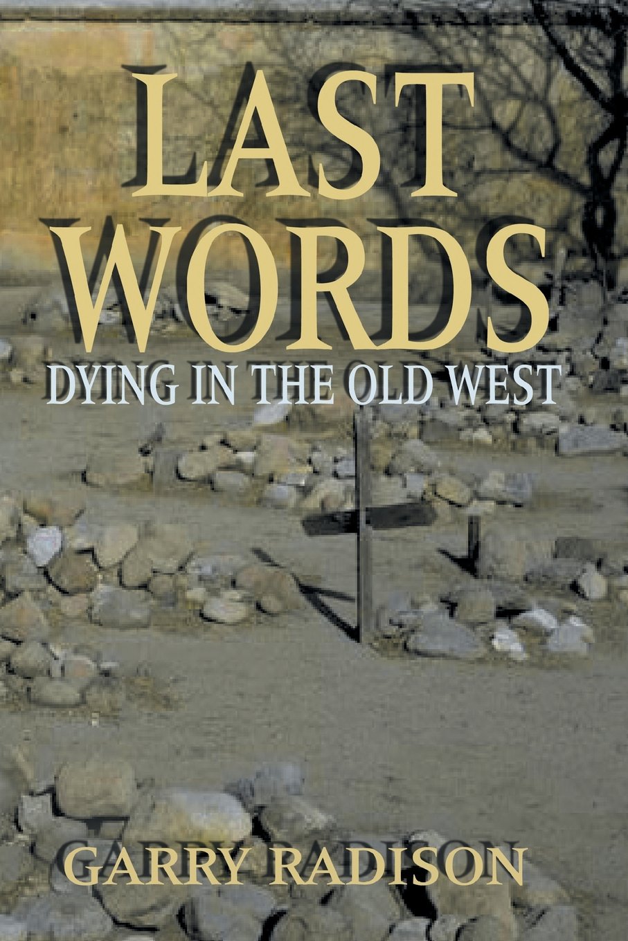 Last Words: Dying in the Old West,Used