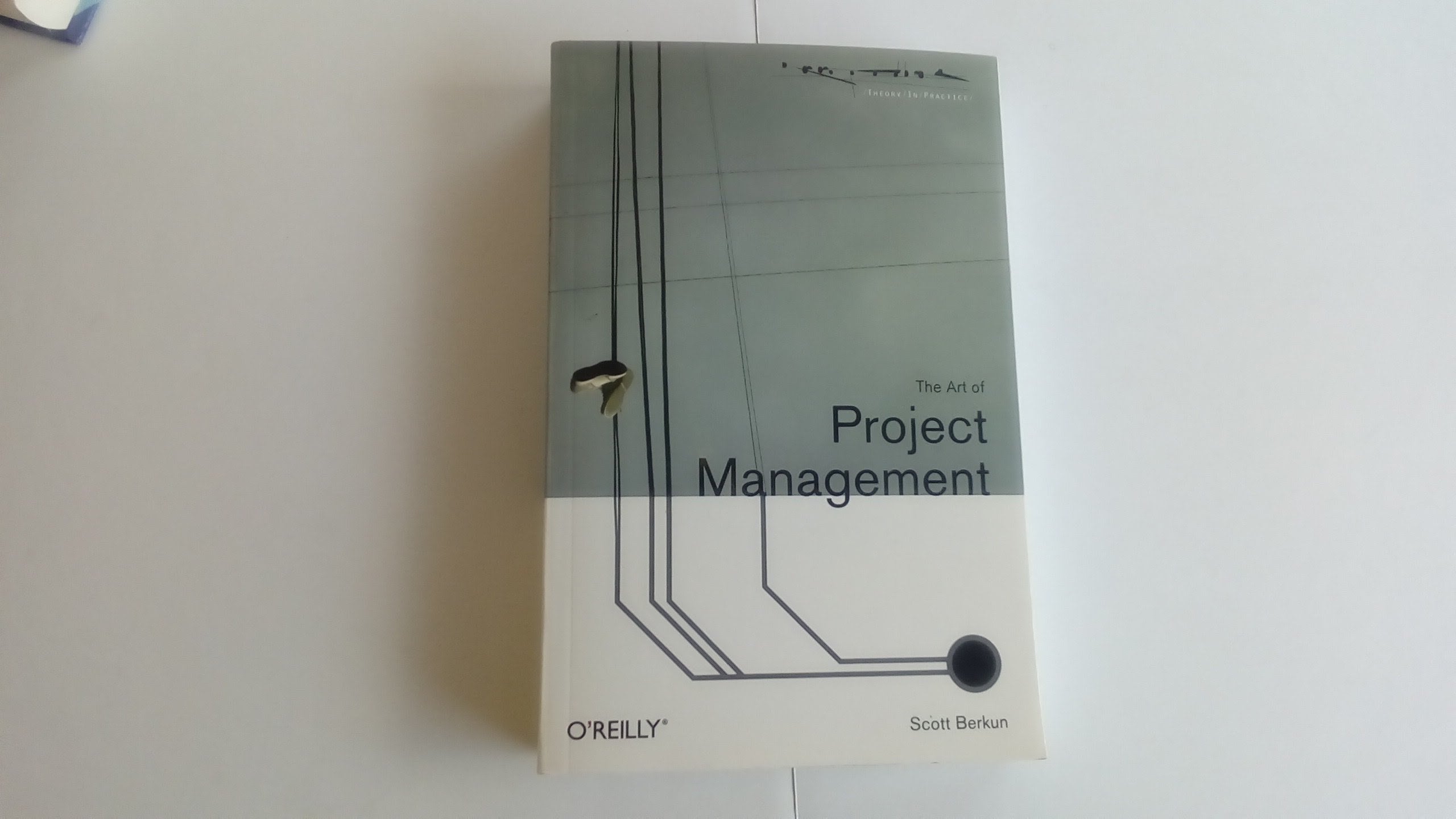 The Art Of Project Management (Theory In Practice (O'Reilly))