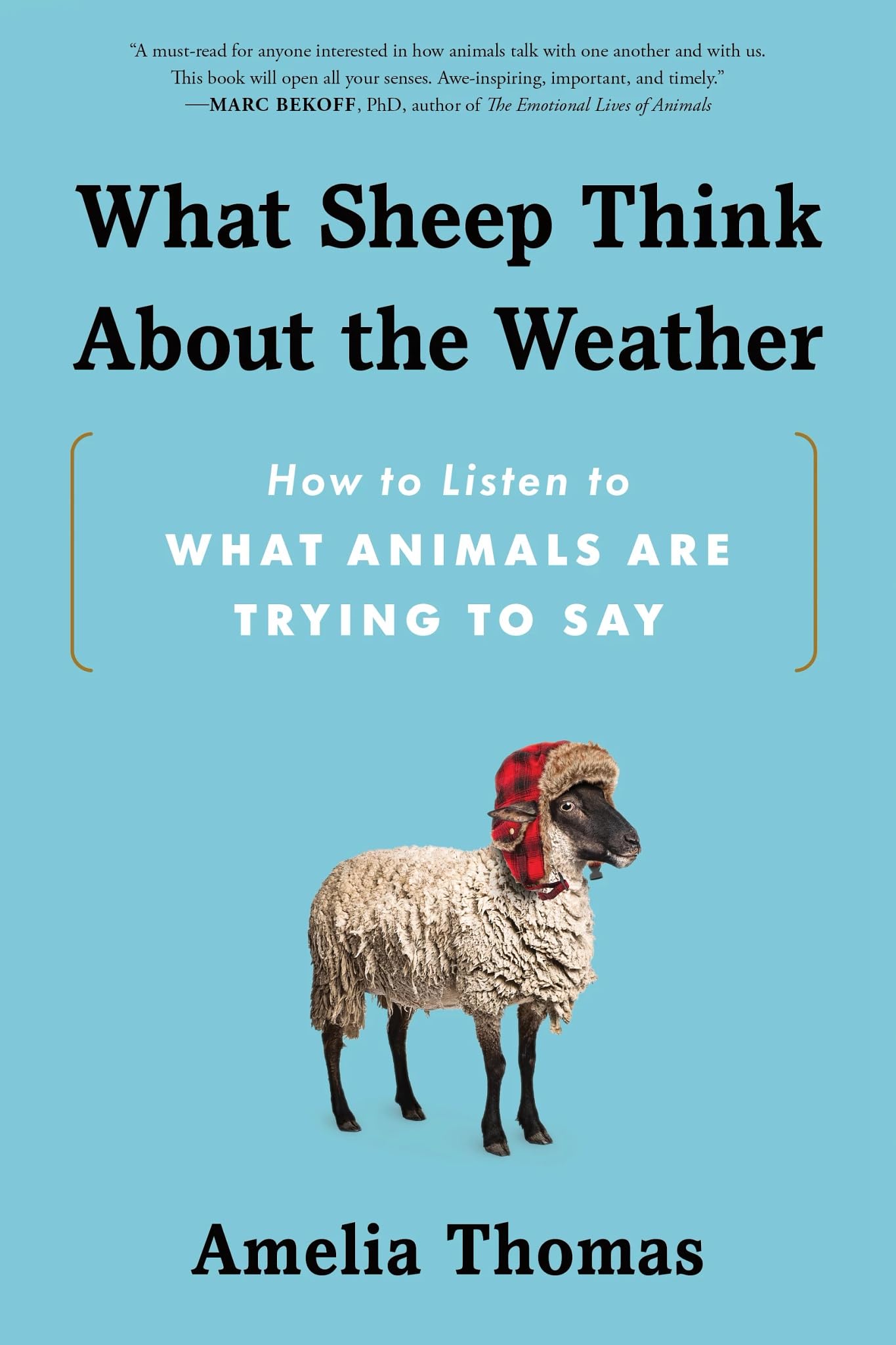 What Sheep Think About The Weather