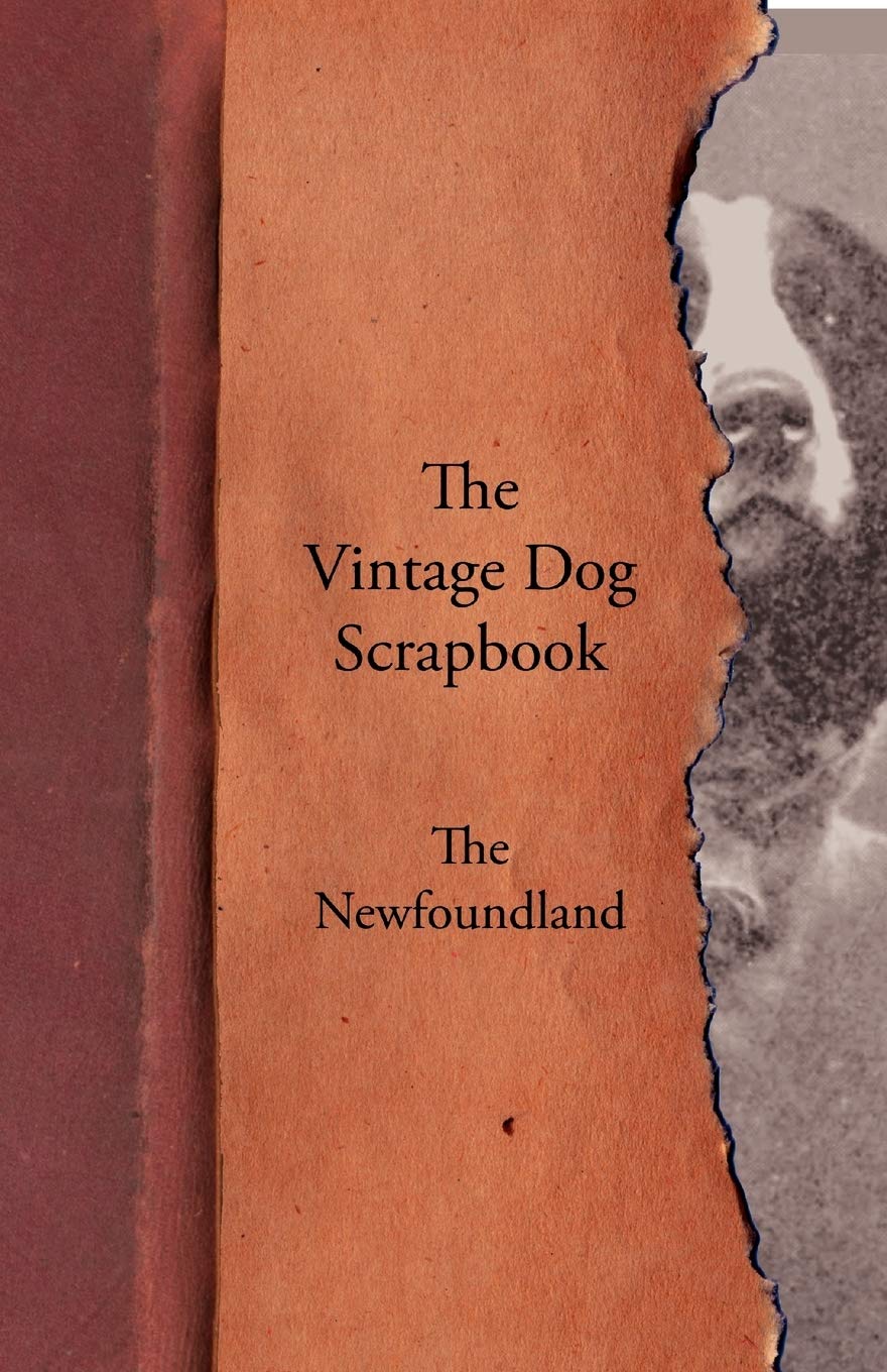The Vintage Dog Scrapbook  The Newfoundland,Used