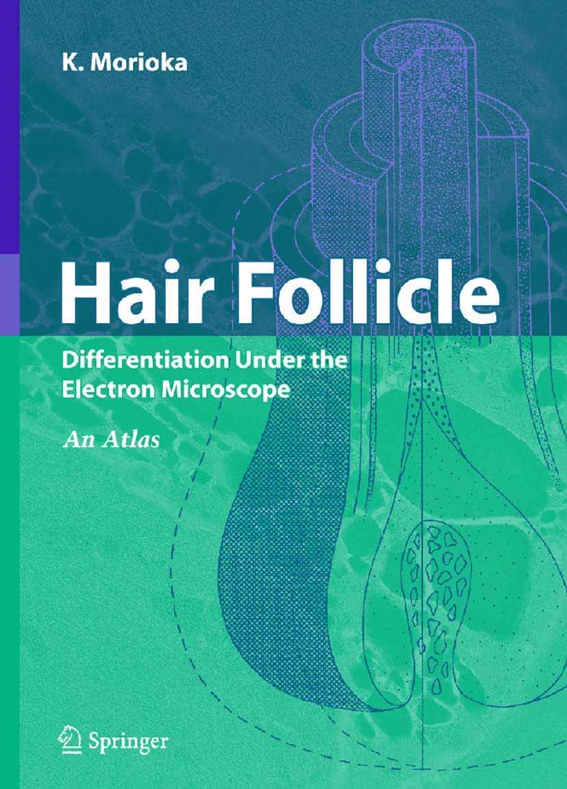 Hair Follicle: Differentiation under the Electron Microscope  An Atlas,Used