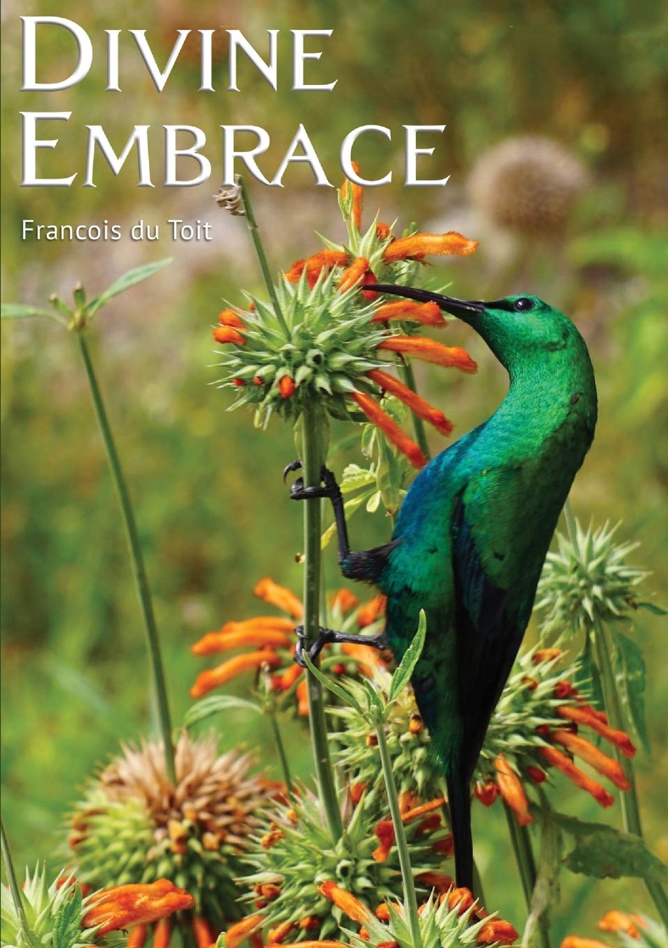 DIVINE EMBRACE New, 30 Chapter, 458page Revised Edition,Used