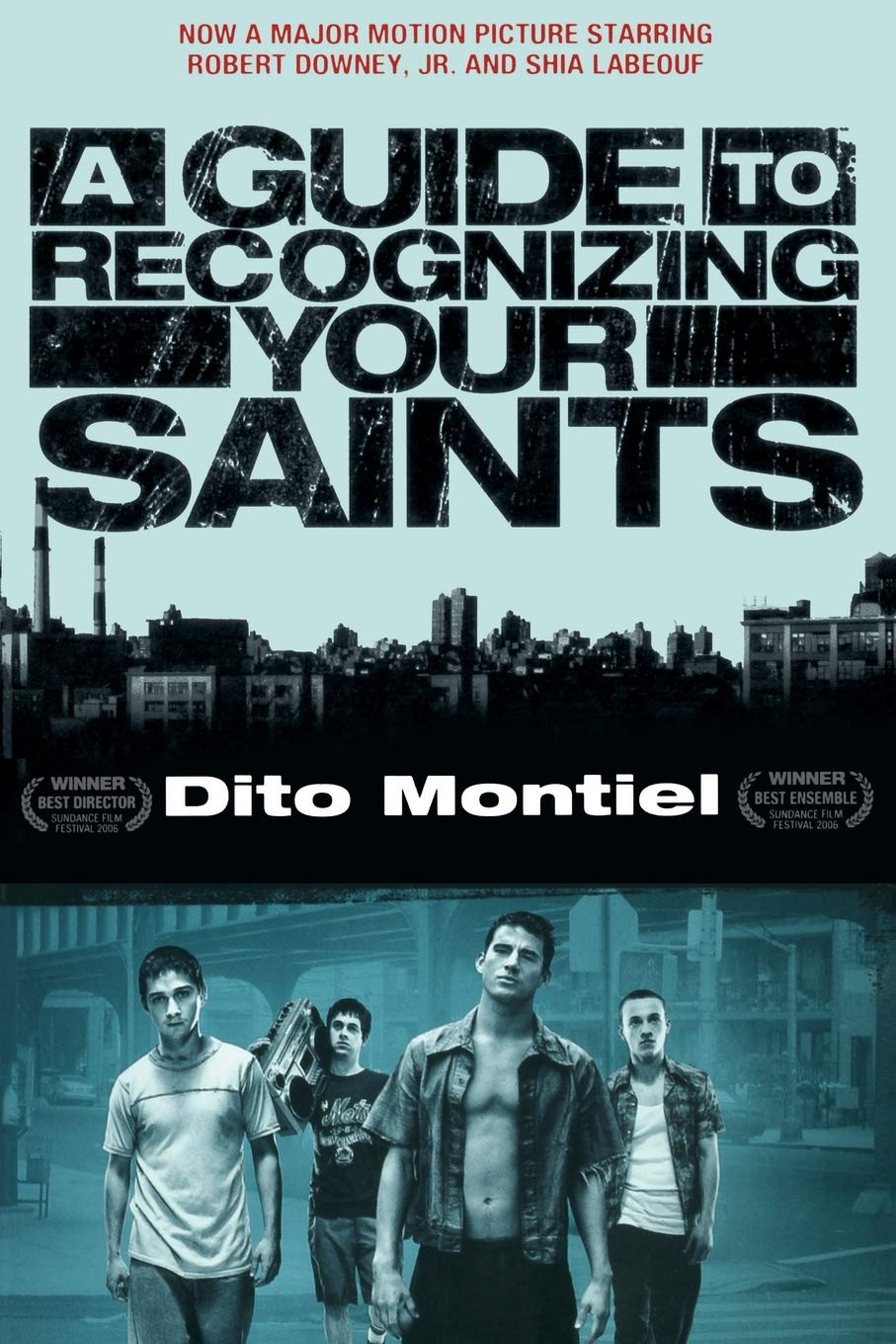 A Guide to Recognizing Your Saints,New