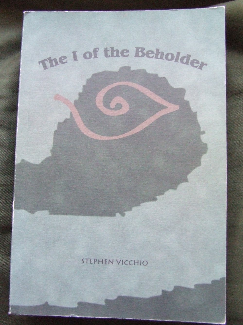 The I of the Beholder: Essays and Stories,Used