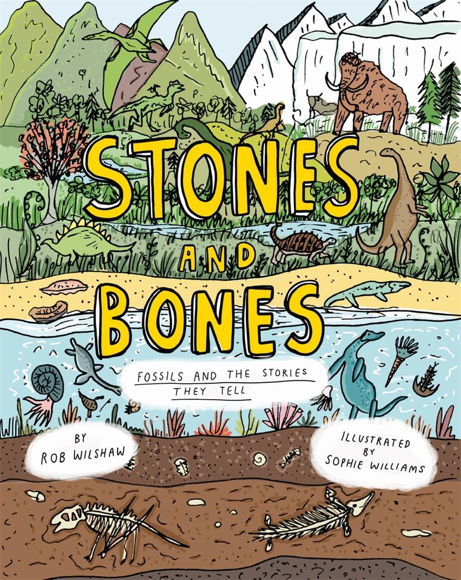 Stones And Bones: Fossils And The Stories They Tell,Used