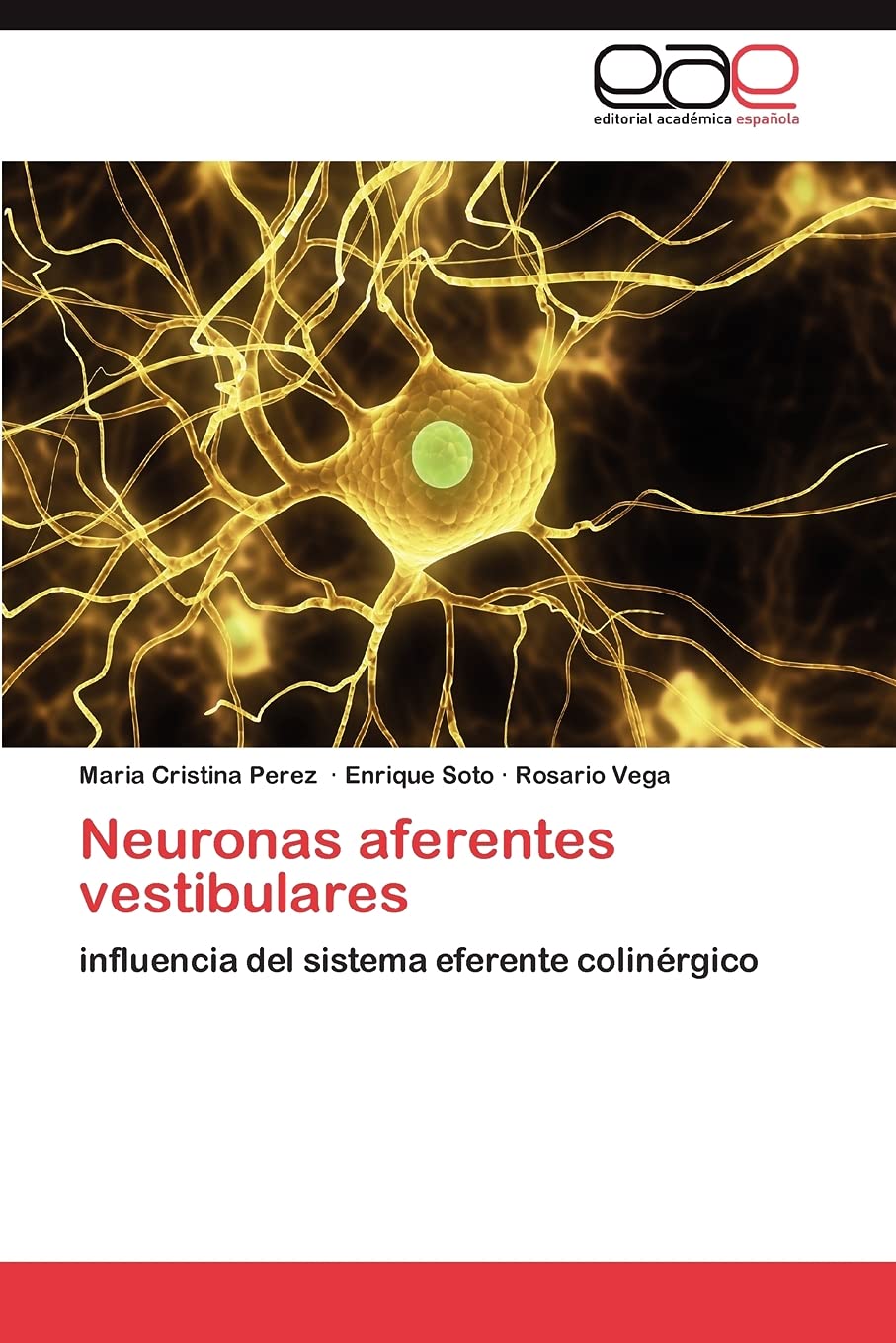 Neuronas aferentes vestibulares: influencia del sistema eferente colinrgico (Spanish Edition),Used