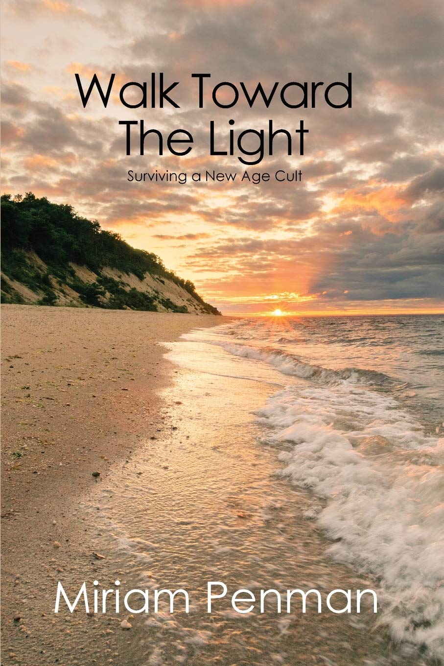 Walk Toward the Light: Surviving a New Age Cult,Used