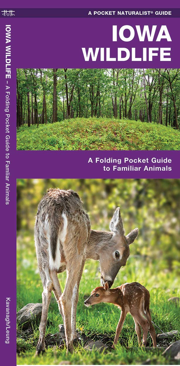 Iowa Wildlife: A Folding Pocket Guide To Familiar Animals (Wildlife And Nature Identification),Used