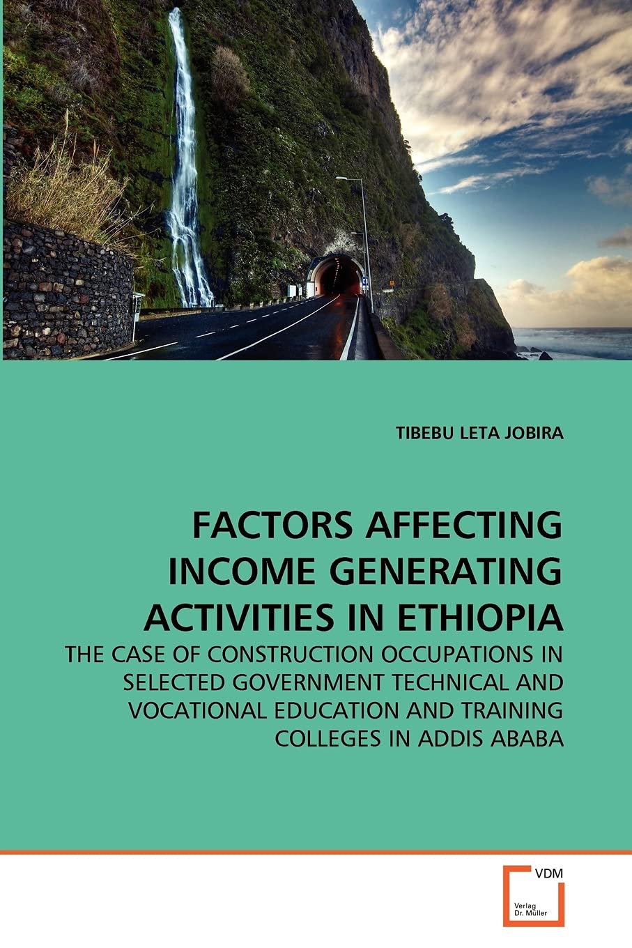 FACTORS AFFECTING INCOME GENERATING ACTIVITIES IN ETHIOPIA: THE CASE OF CONSTRUCTION OCCUPATIONS IN SELECTED GOVERNMENT TECHNICA,Used