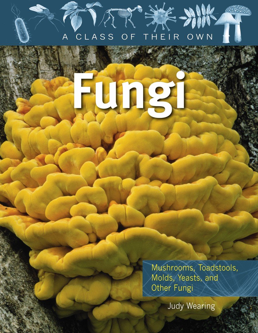 Fungi: Mushrooms, Toadstools, Molds, Yeasts, and Other Fungi (Class of Their Own),Used