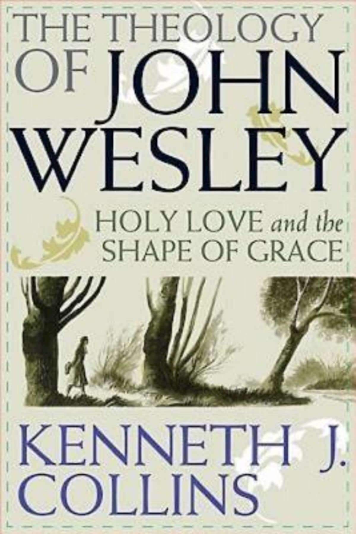 The Theology of John Wesley: Holy Love and the Shape of Grace,Used