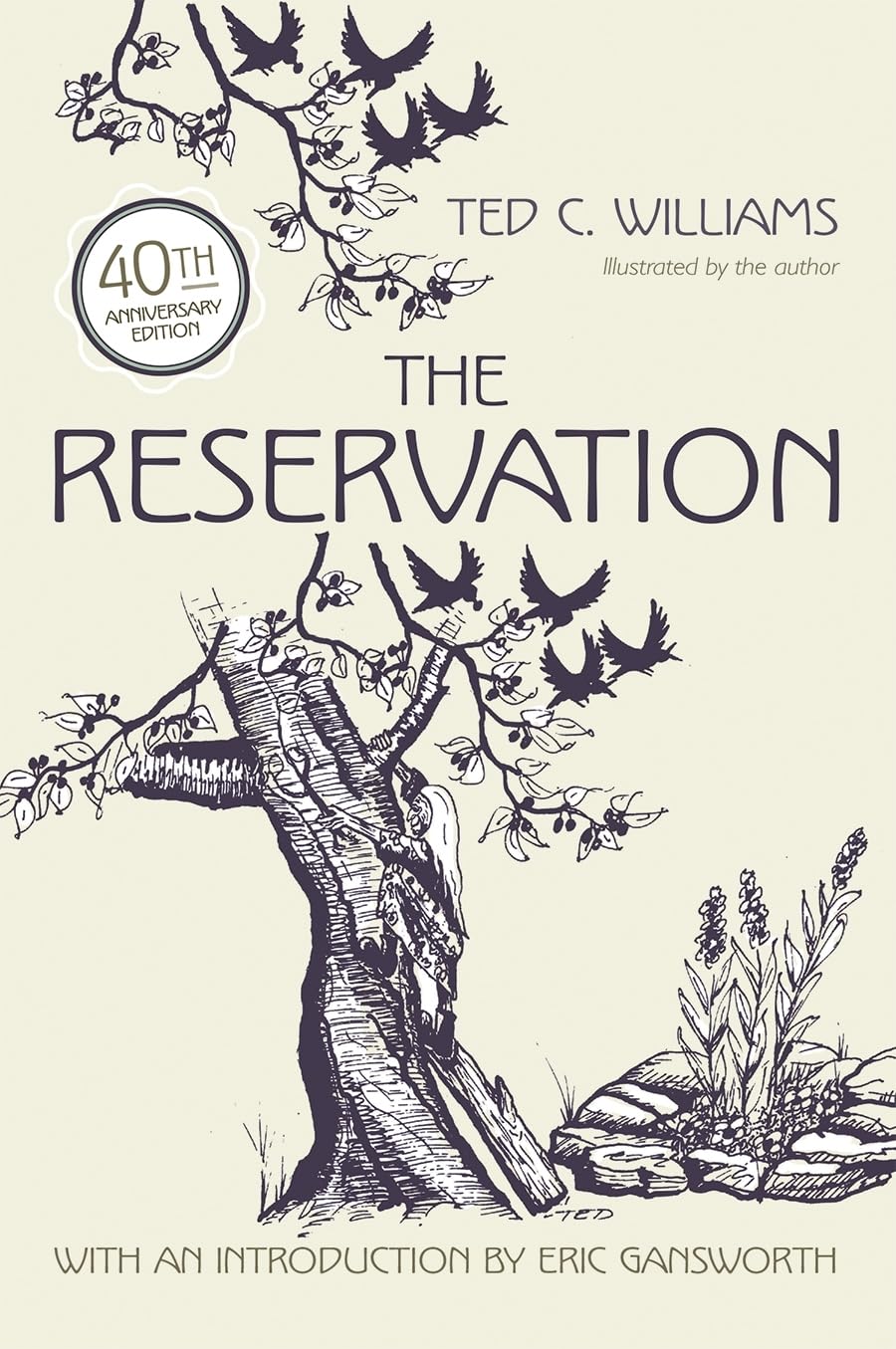 The Reservation (Illustrated by the Author),Used
