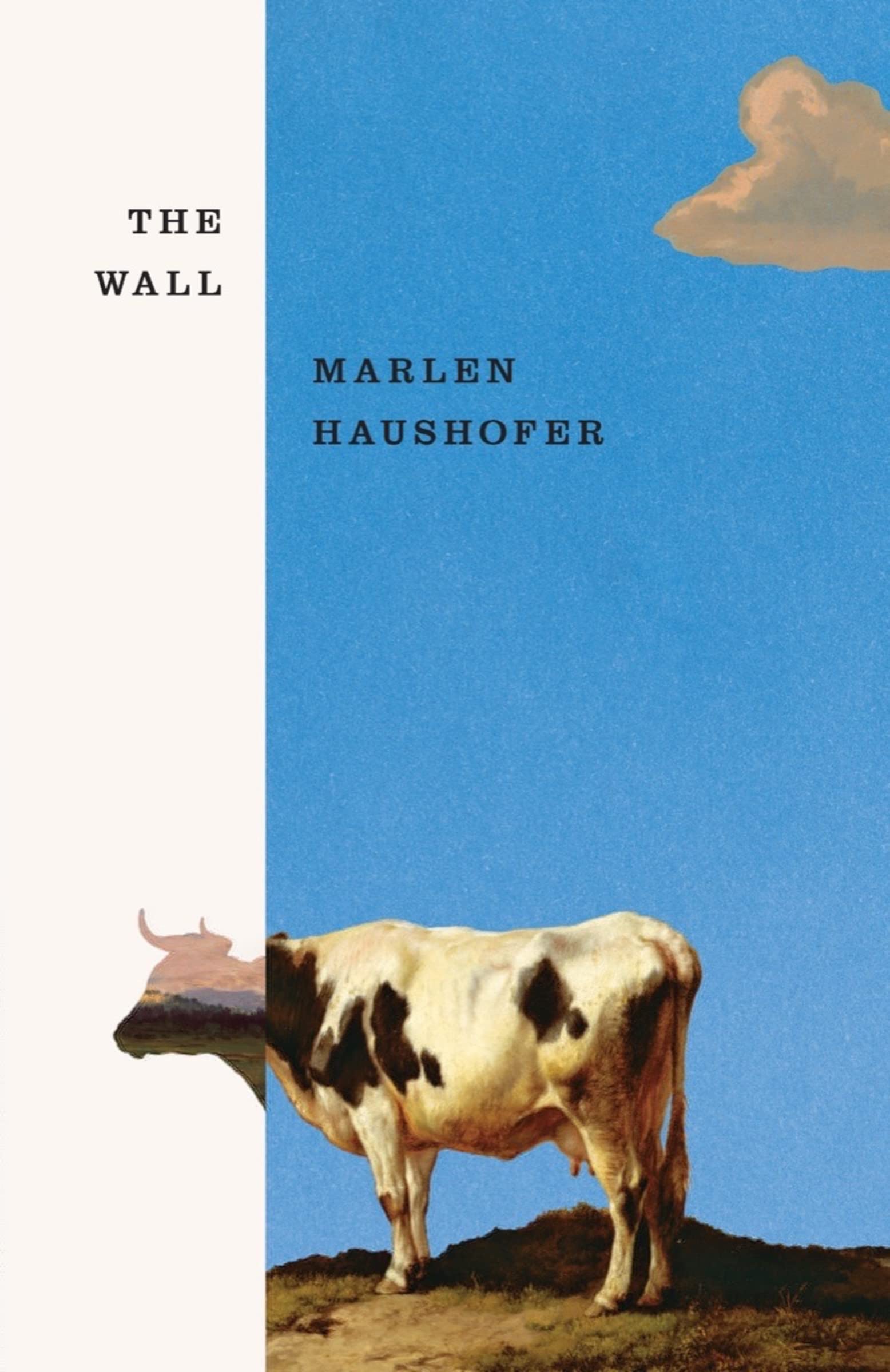 The Wall-new,New