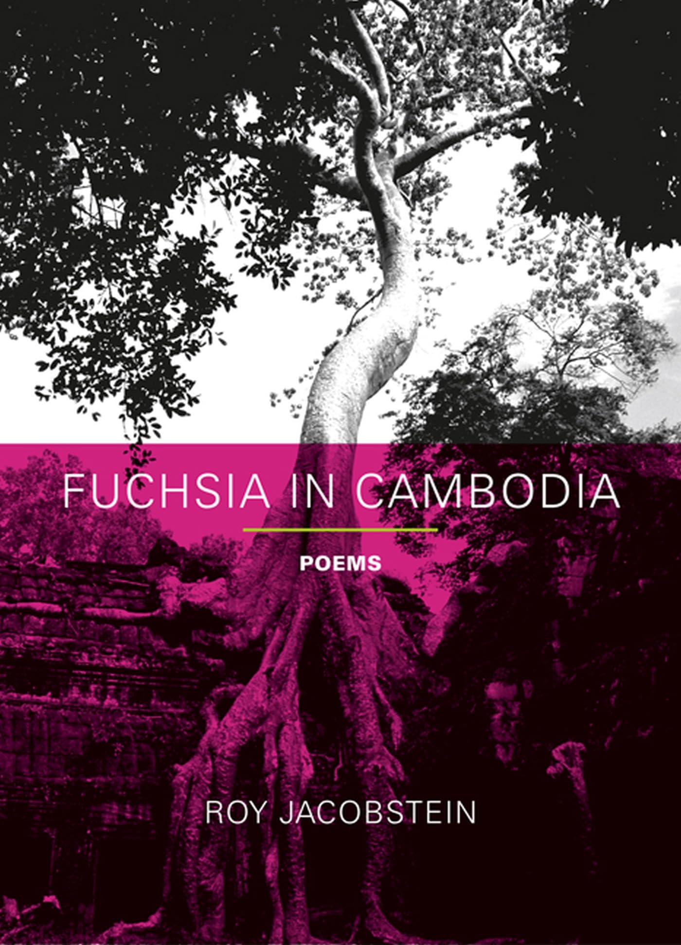 Fuchsia In Cambodia: Poems,Used