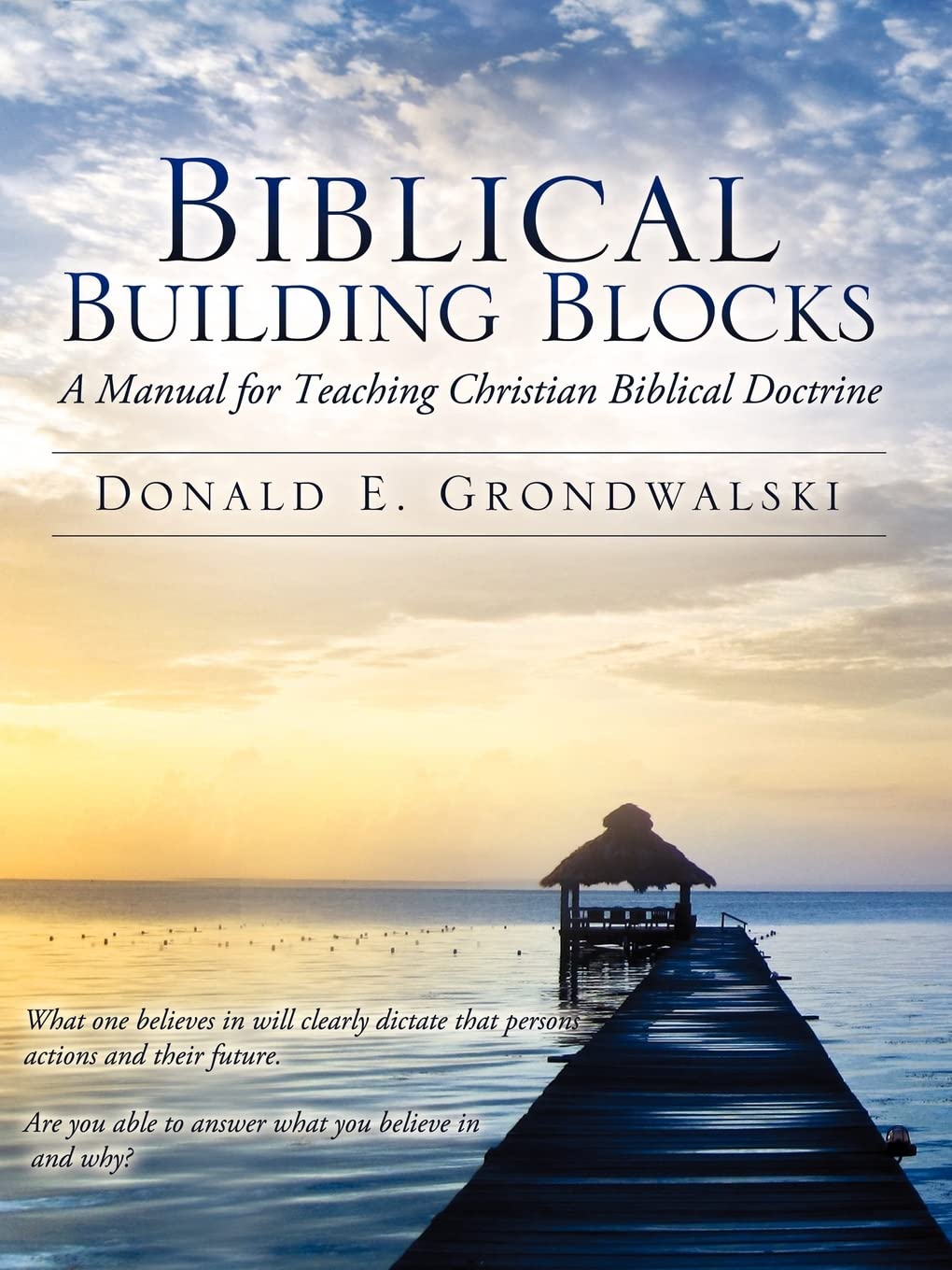Biblical Building Blocks,Used