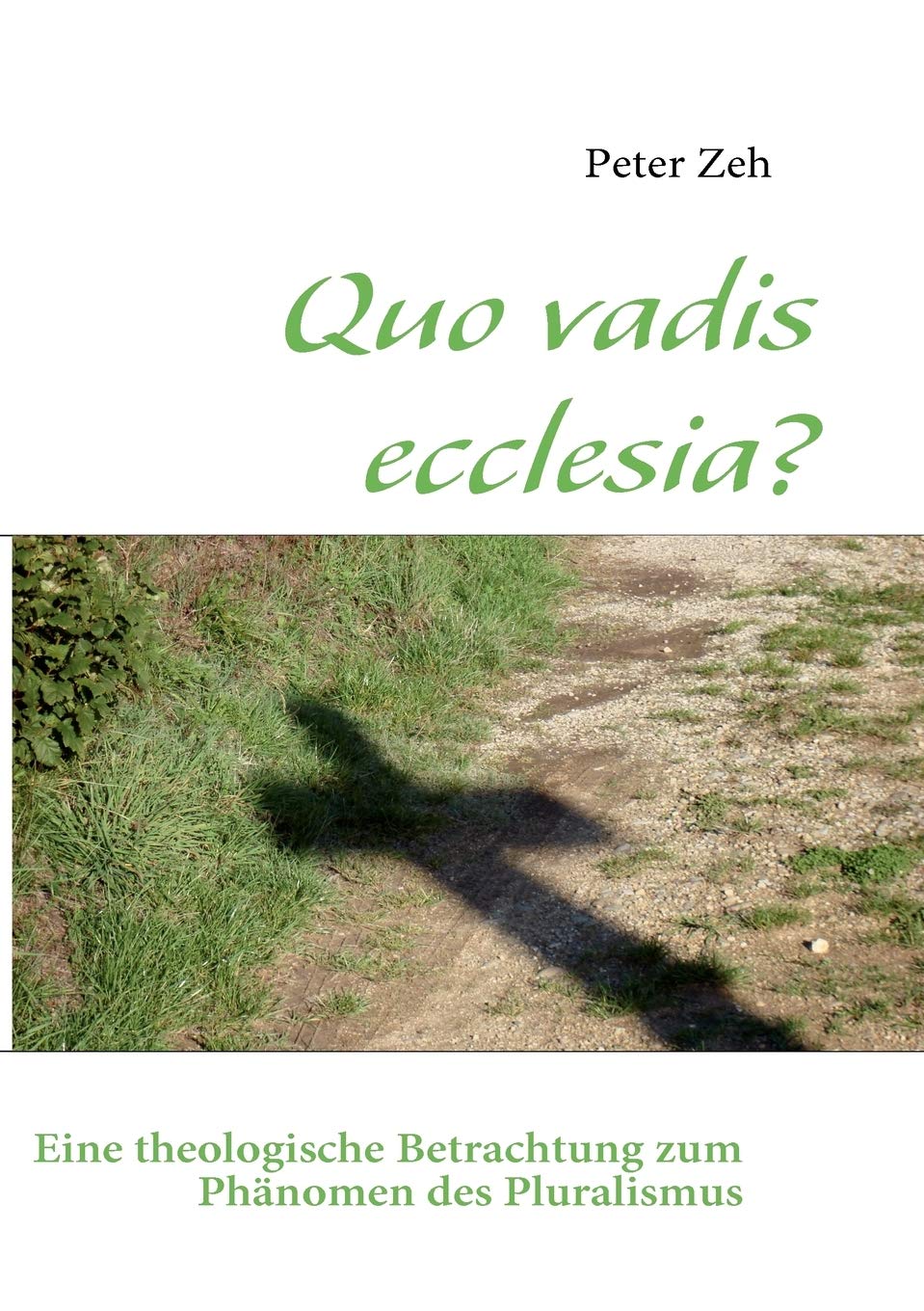 Quo vadis ecclesia?: Eine theologische Betrachtung zum Phnomen des Pluralismus (German Edition),Used