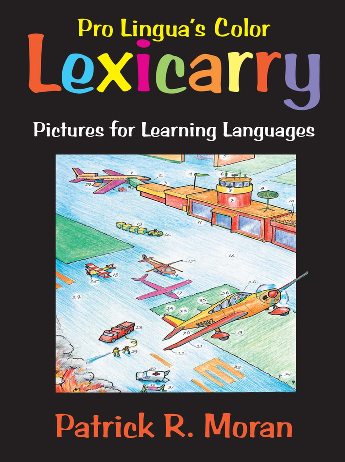 Lexicarry: Pictures for Learning Languages (Pro Lingua's Color),Used