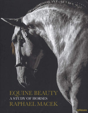 Equine Beauty: A Study of Horses,Used