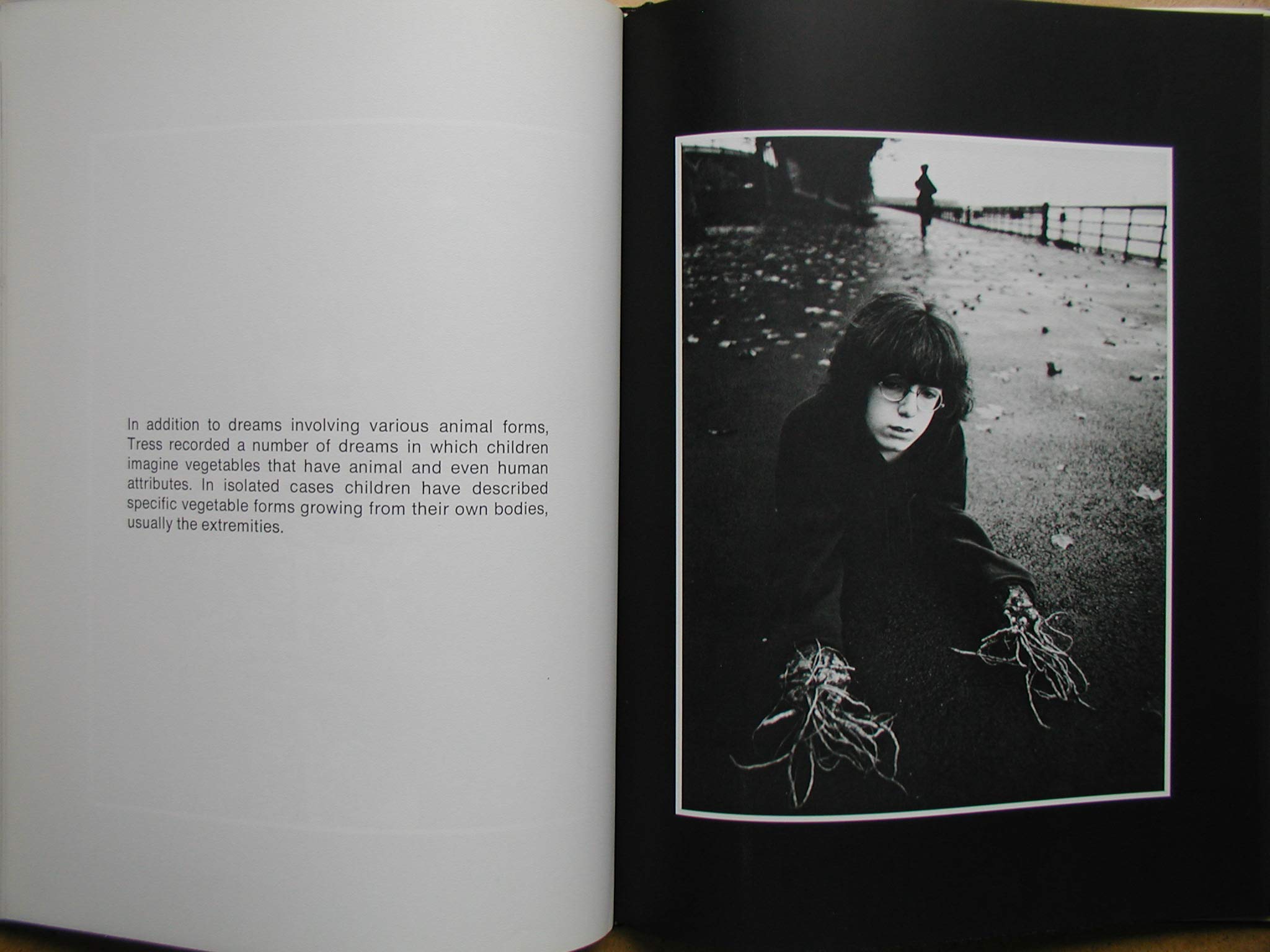 Arthur Tress: The Dream Collector