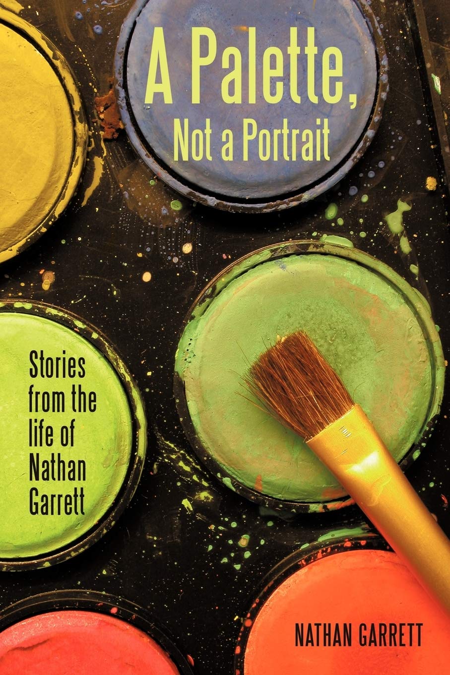 A Palette, Not A Portrait: Stories From The Life Of Nathan Garrett,Used