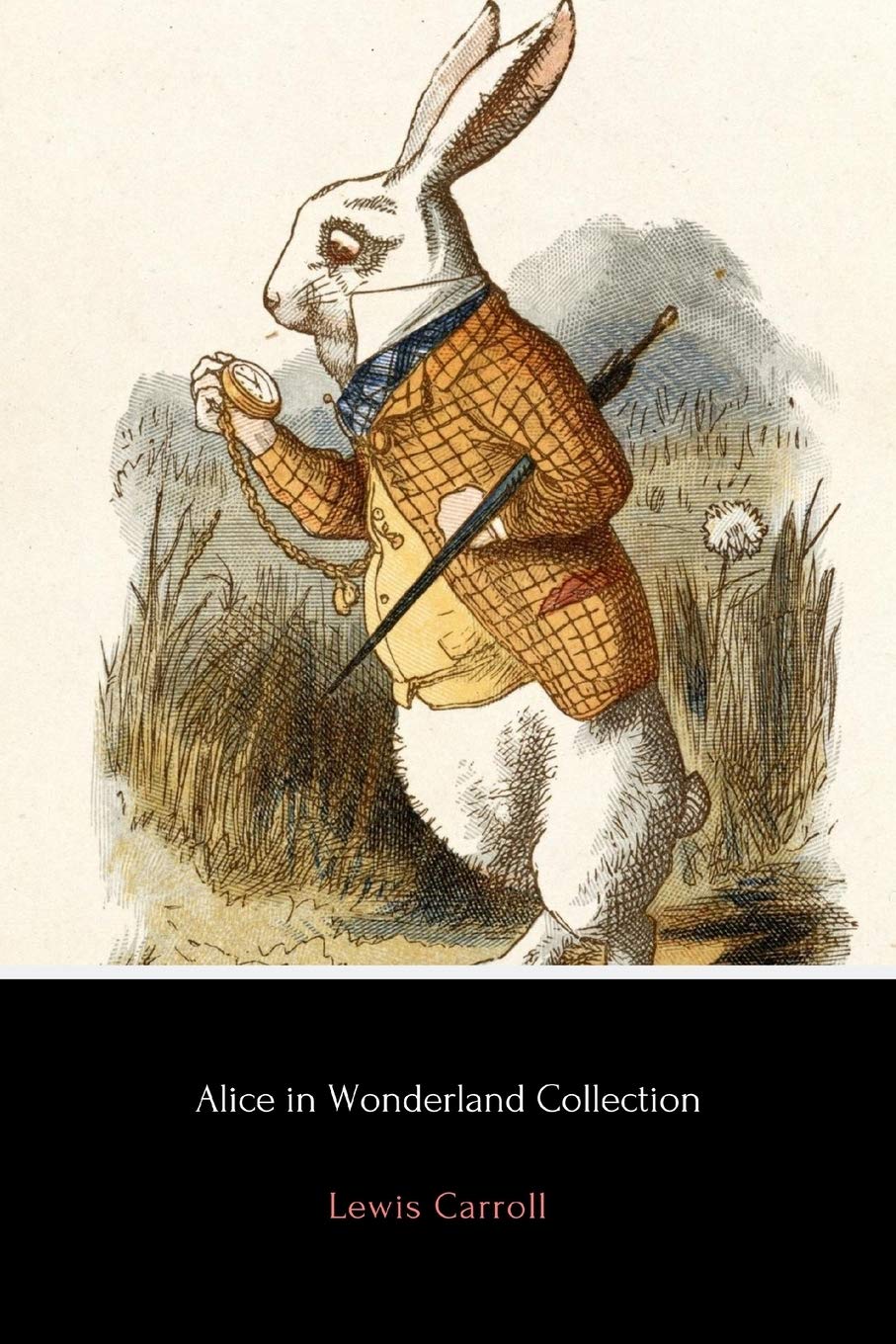 Alice in Wonderland Collection: All Four Books,Used