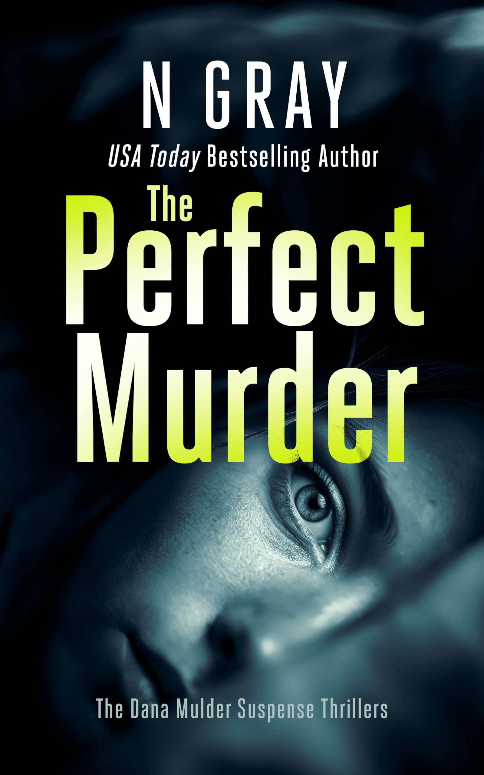 The Perfect Murder (The Dana Mulder Suspense Thriller Series, 5)