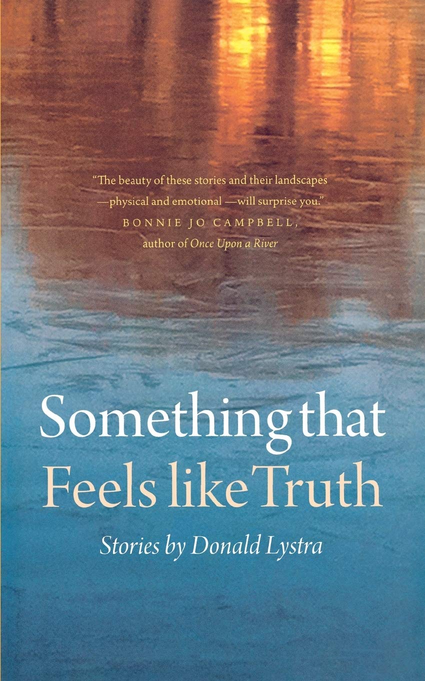 Something That Feels Like Truth (Switchgrass Books),Used