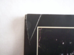 The Last Basselope: One Ferocious Story,New