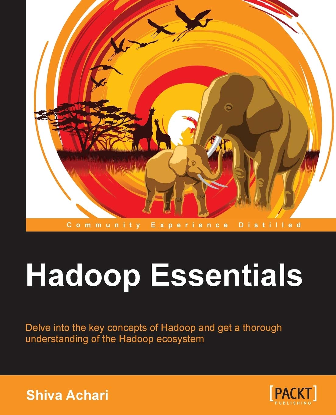 Hadoop Essentials: Delve into the Key Concepts of Hadoop and Get a Thorough Understanding of the Hadoop Ecosystem,Used