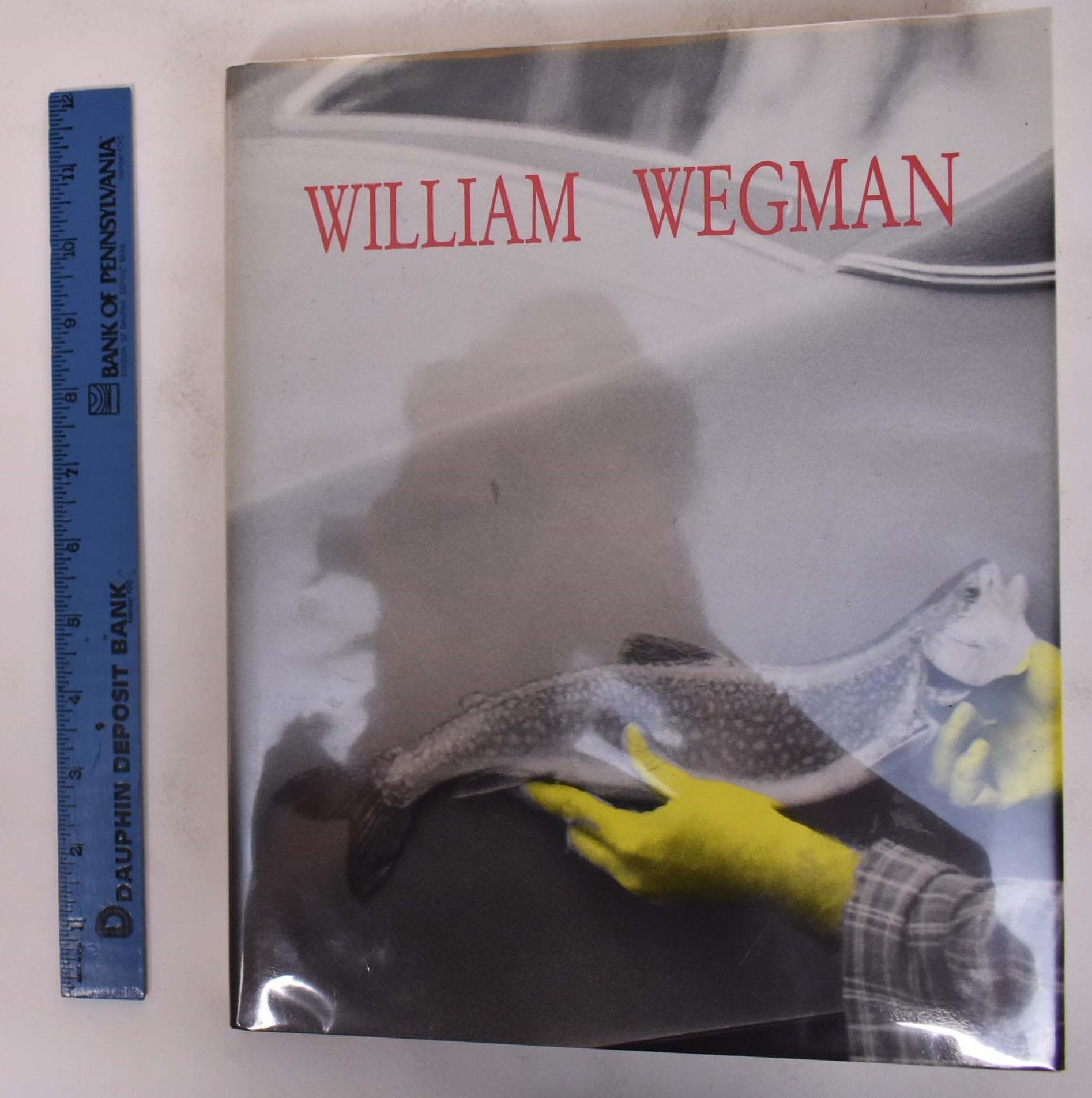 William Wegman: Paintings, Drawings, Photographs, Videotapes,Used