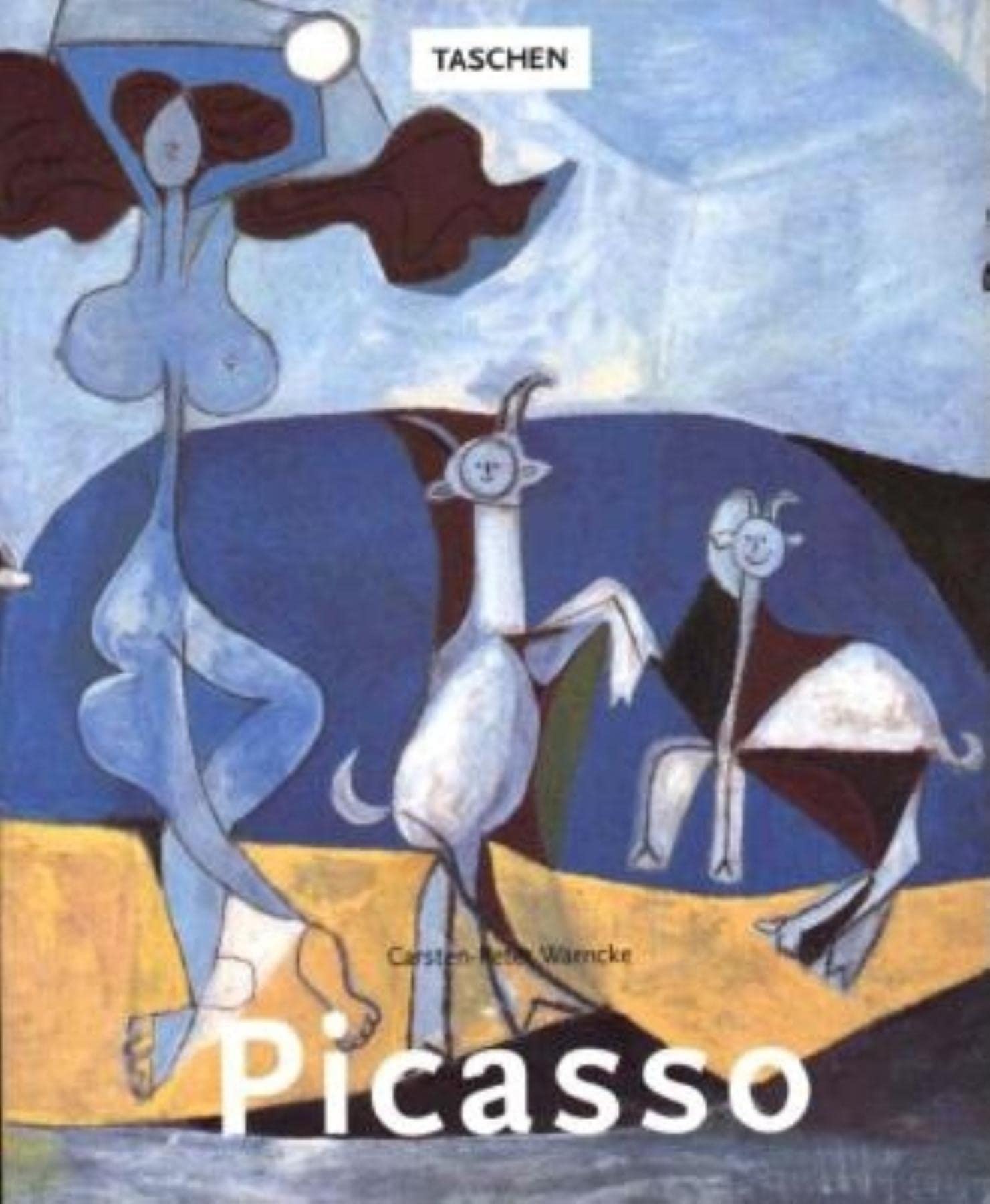 Pablo Picasso 18811973,Used