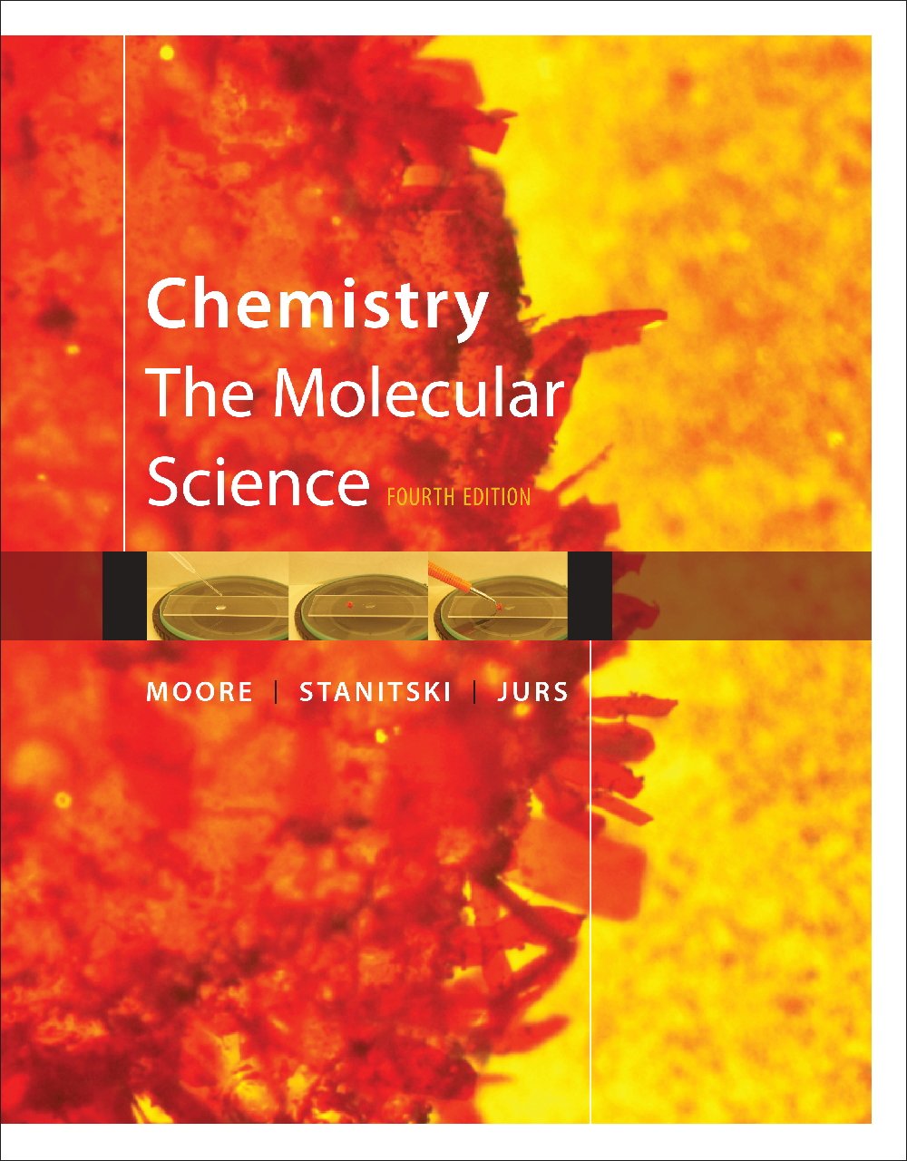 Study Guide for Moore/Stanitski/Jurs' Chemistry: The Molecular Science, 4th,Used