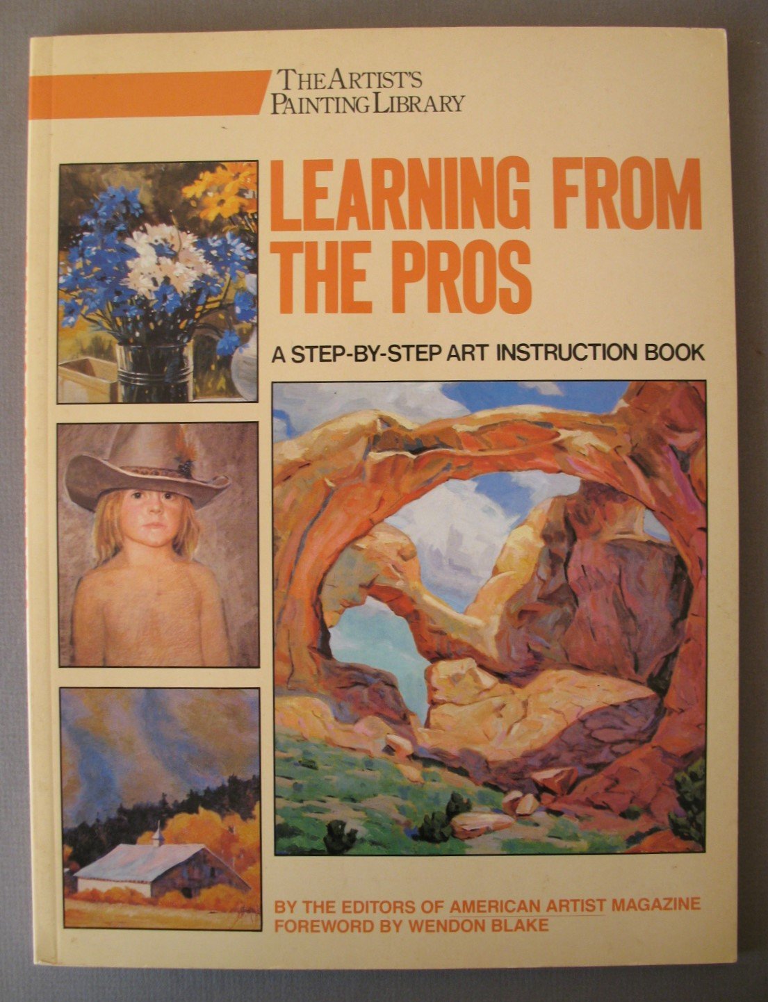 Learning from the Pros (Artist's Painting Library),Used