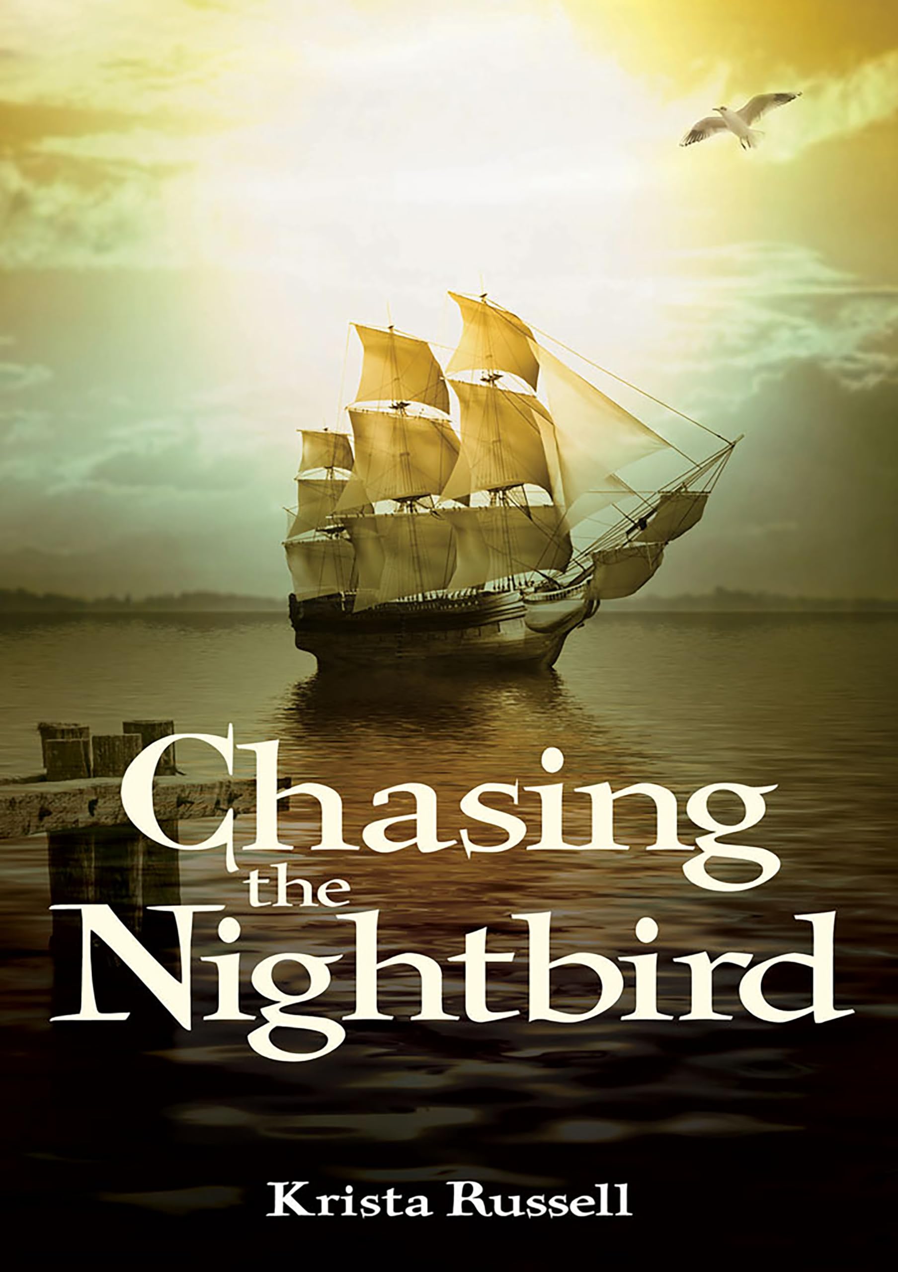 Chasing the Nightbird,Used