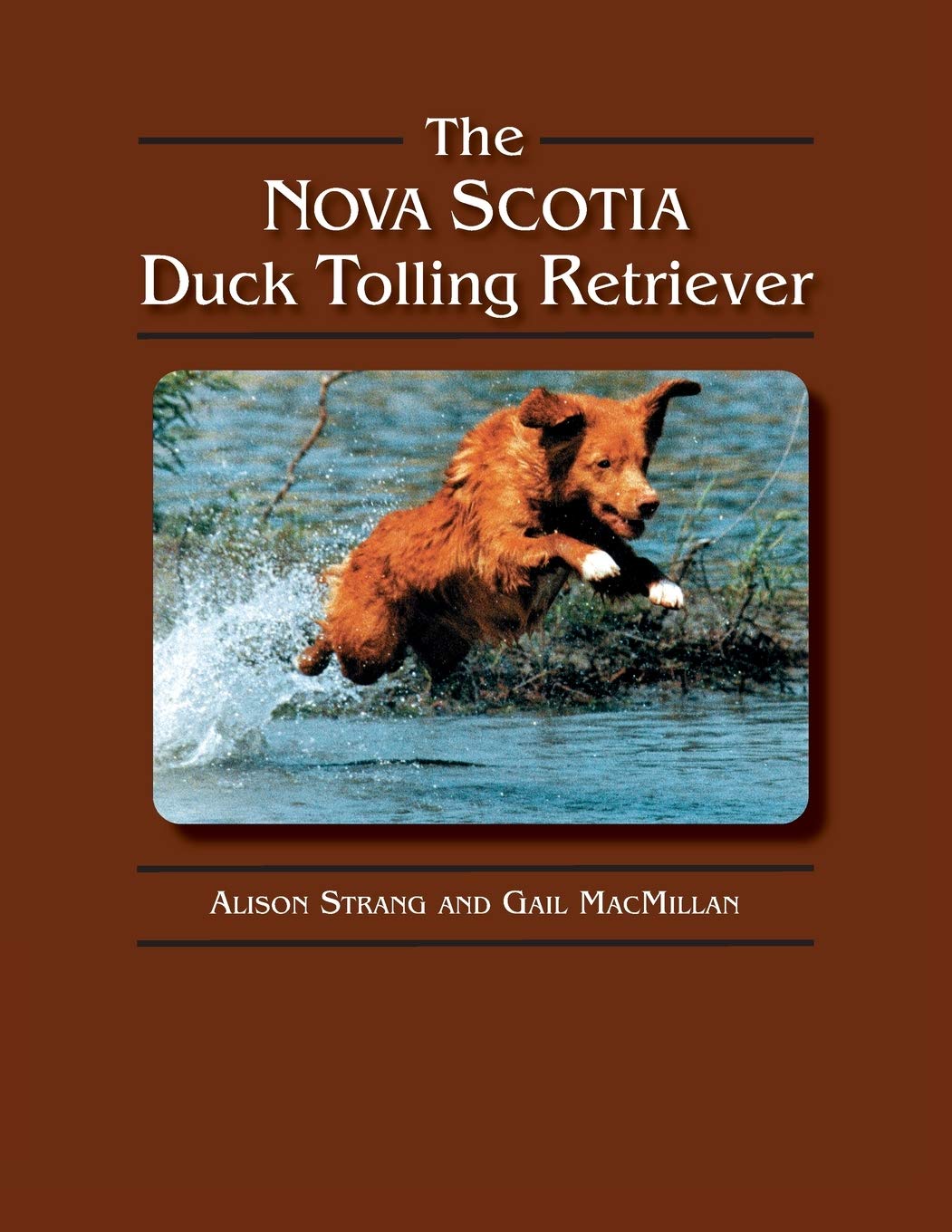 The Nova Scotia Duck Tolling Retriever,Used