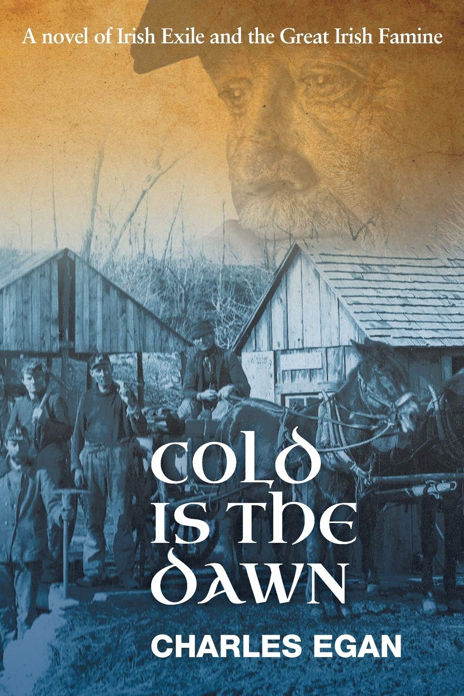 Cold Is The Dawn: A Novel Of Irish Exile And The Great Irish Famine (The Irish Famine Series)