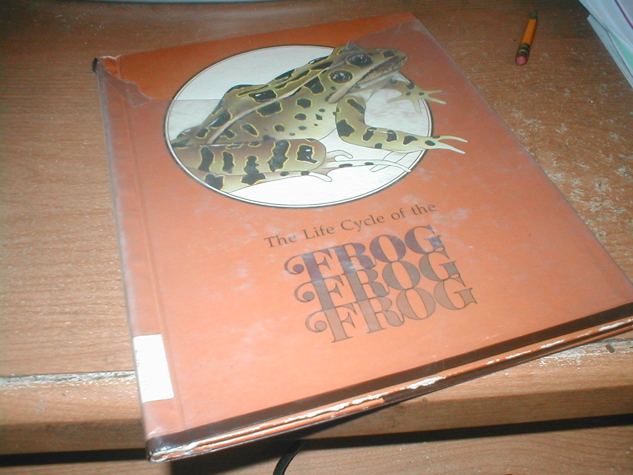 The Frog,Used