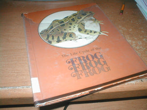 The Frog,Used