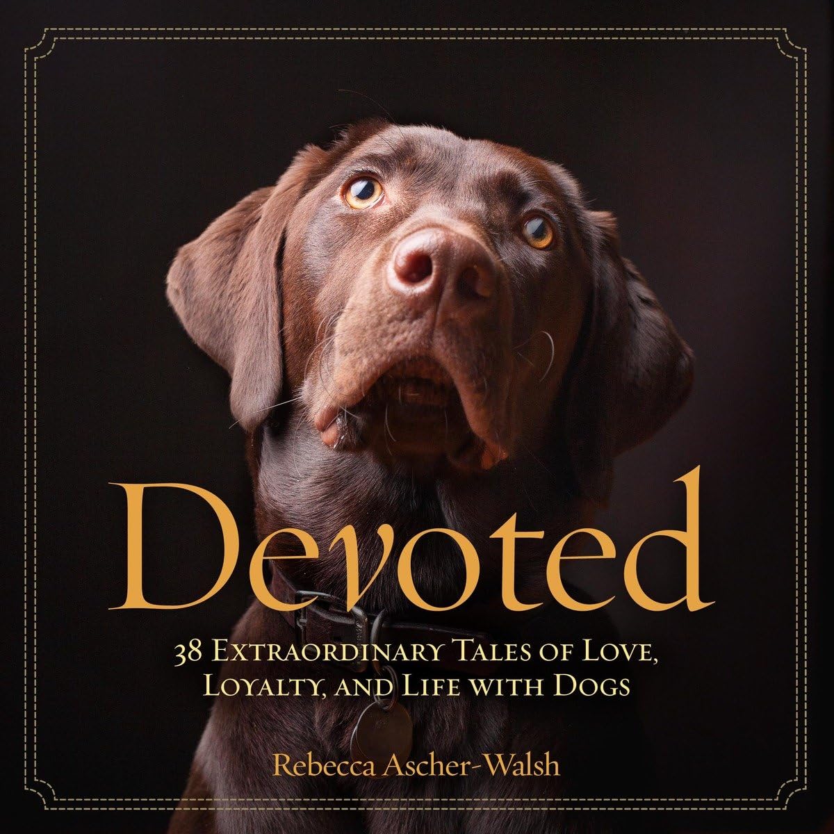 Devoted: 38 Extraordinary Tales Of Love, Loyalty, And Life With Dogs,Used