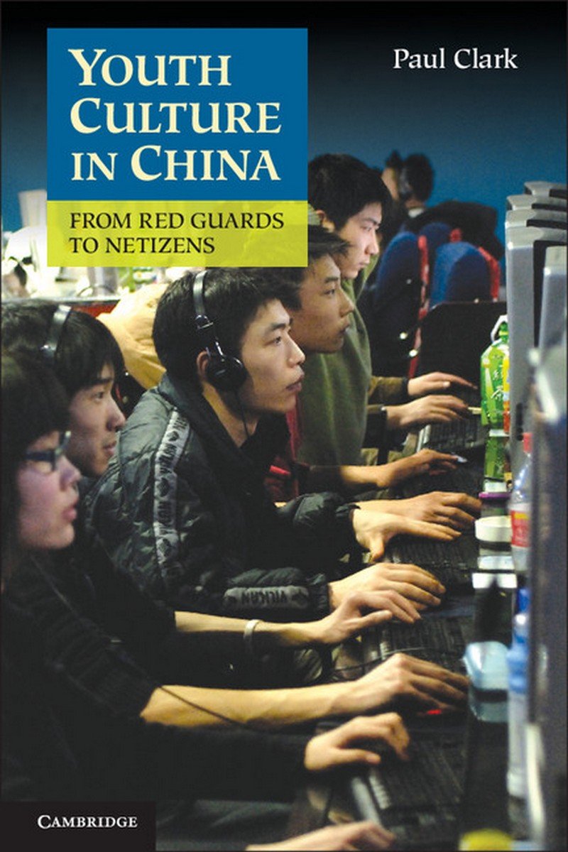 Youth Culture in China: From Red Guards to Netizens,Used