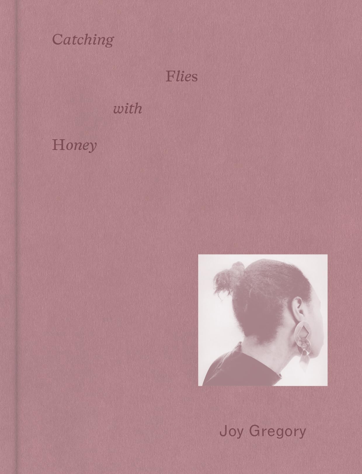 Joy Gregory: Catching Flies With Honey