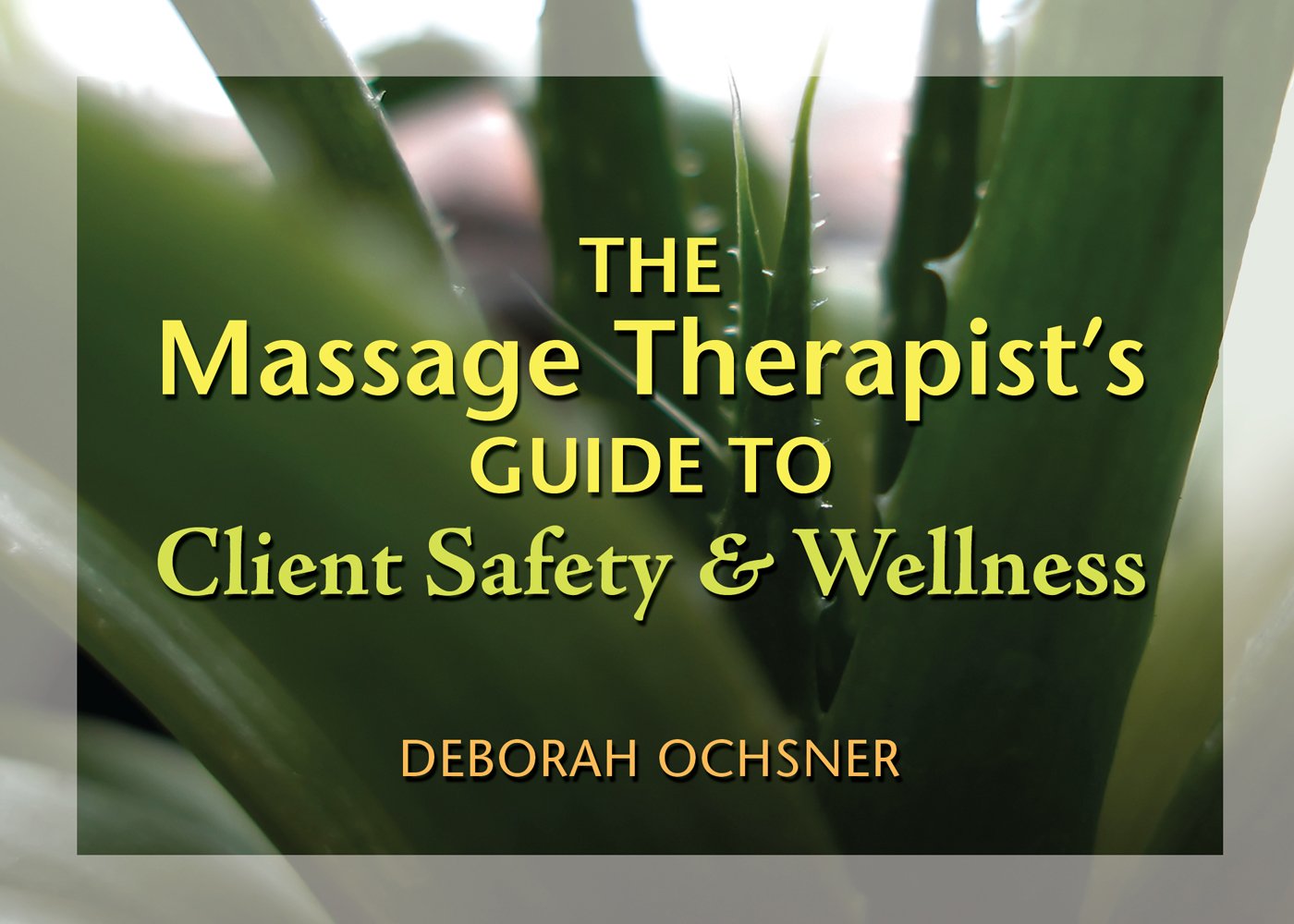 Massage Therapist's Guide to Client Safety & Wellness,Used