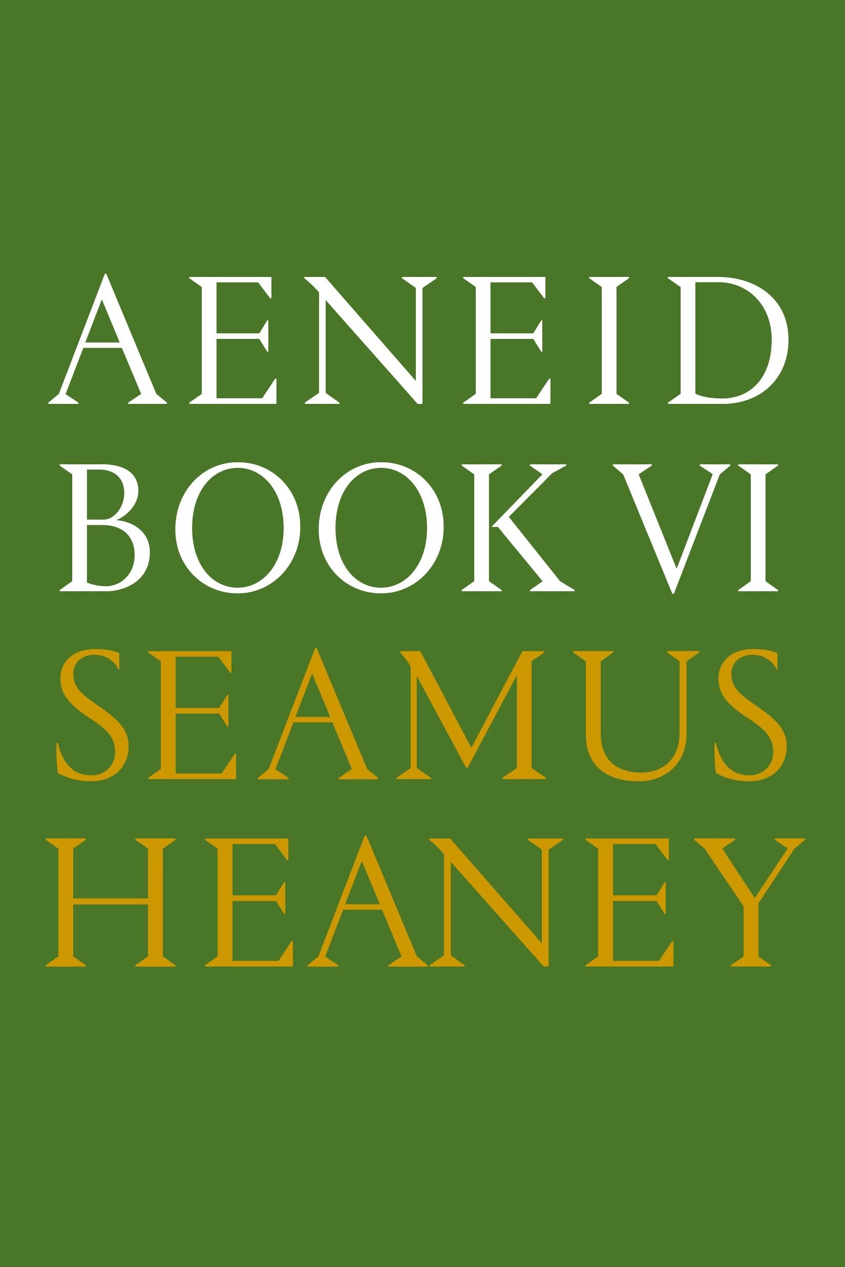Aeneid Book VI: A New Verse Translation: Bilingual Edition,Used