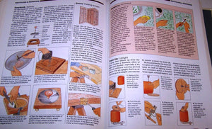 Practical Problem Solver: Substitutes, Shortcuts, and Ingenious Solutions for Making Life Easier,Used