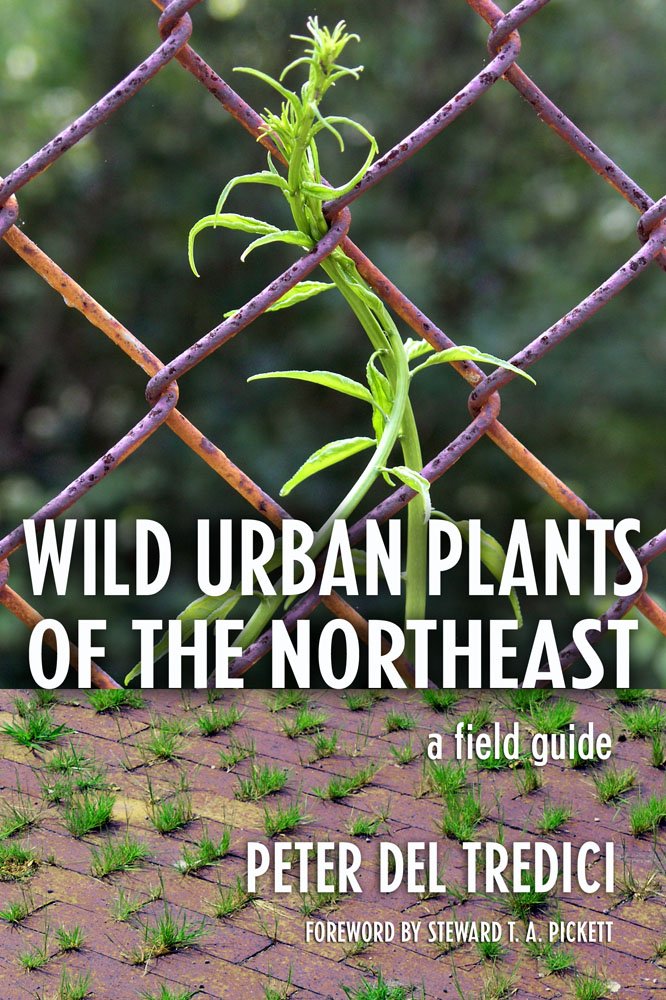 Wild Urban Plants Of The Northeast: A Field Guide,Used