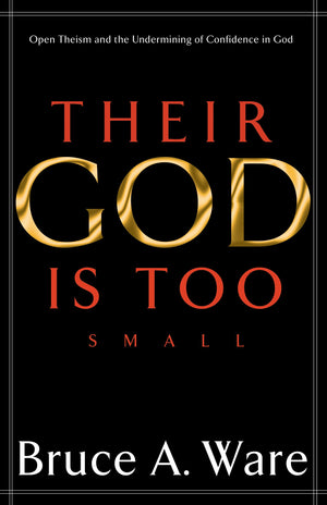 Their God Is Too Small: Open Theism and the Undermining of Confidence in God,Used