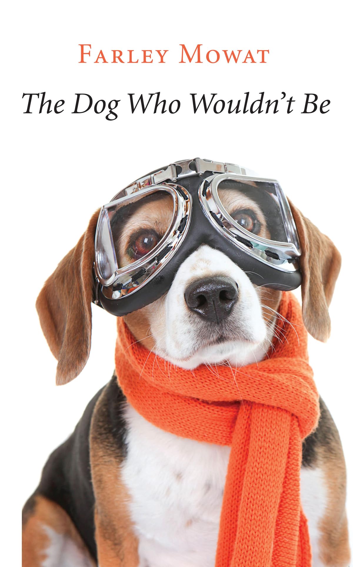 The Dog Who Wouldn'T Be