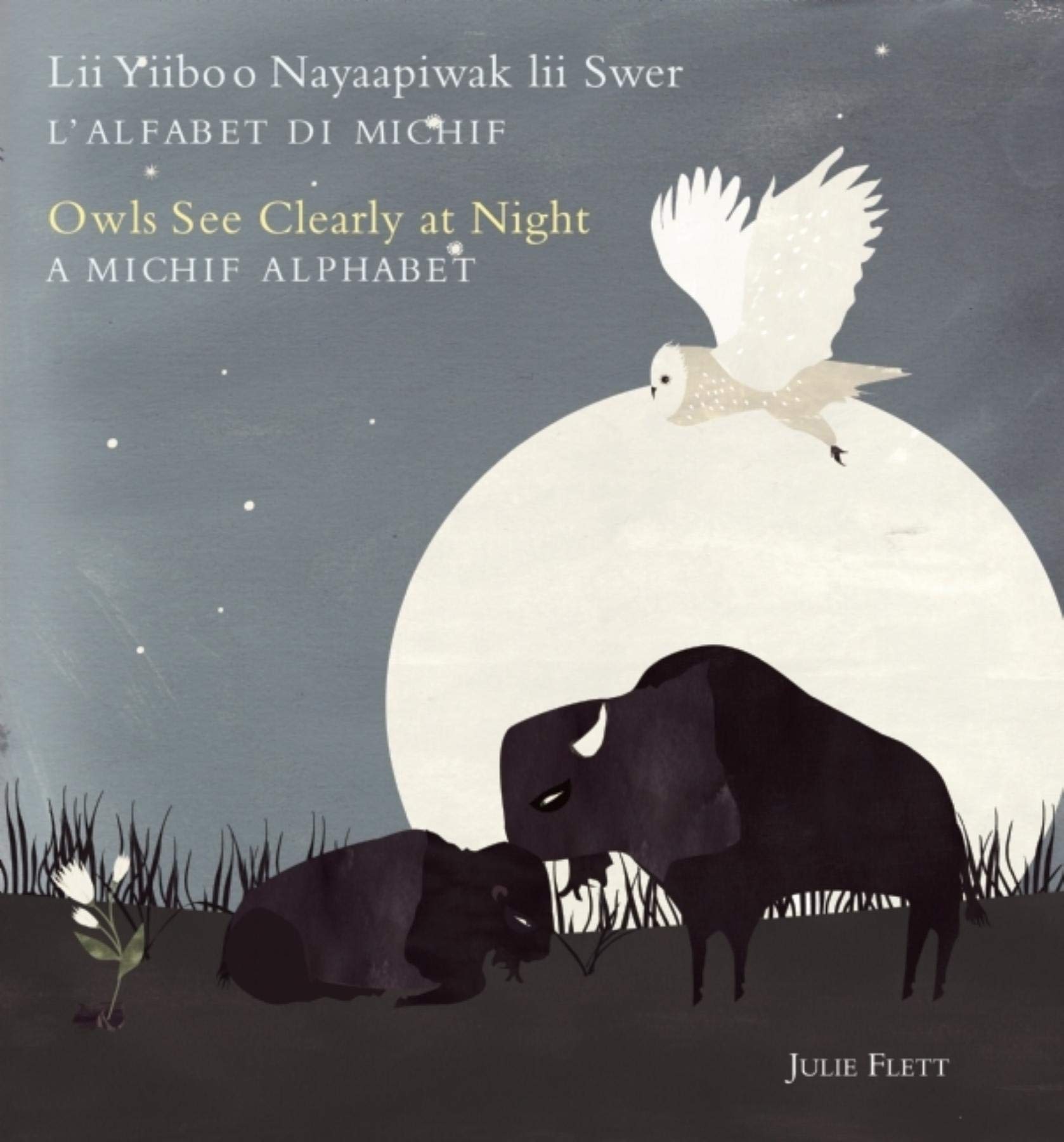 Owls See Clearly At Night/Lii Yiiboo Nayaapiwak Lii Swer: A Michif Alphabet/L'Alfabet Di Michif