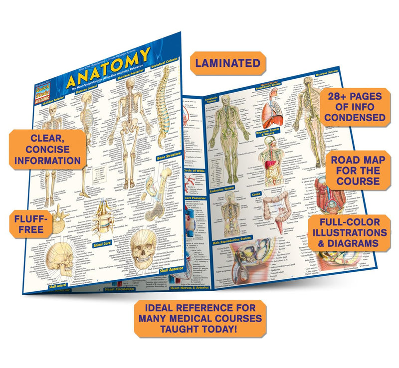 Anatomy QuickStudy Laminated Reference Guide (QuickStudy Academic),New