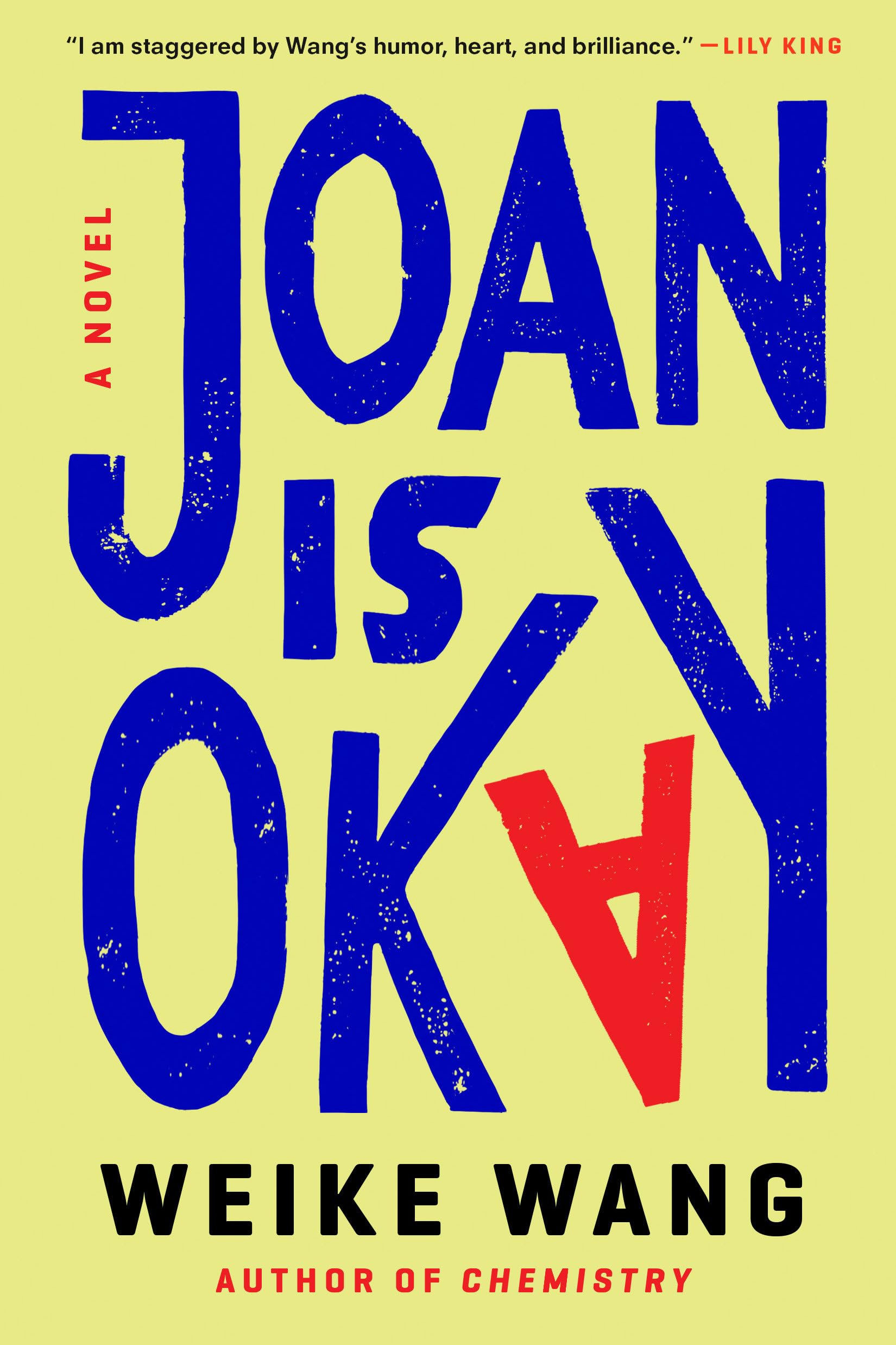 Joan Is Okay: A Novel,Used